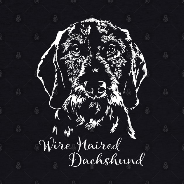 Wire Haired Dachshund dog portrait by wilsigns